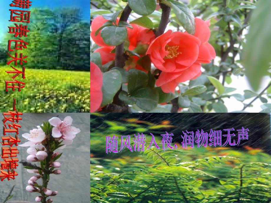 教育专题：夏上课用_第1页