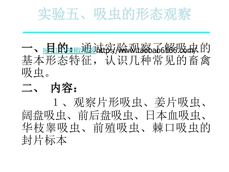 实验五、吸虫的形态观察_第1页