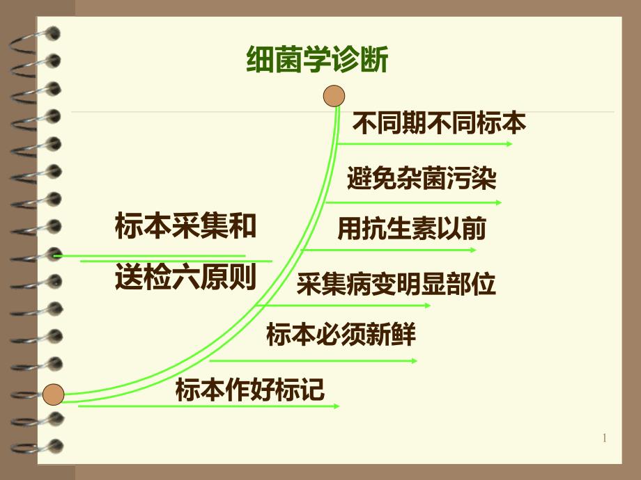 细菌的检查方法PPT课件_第1页