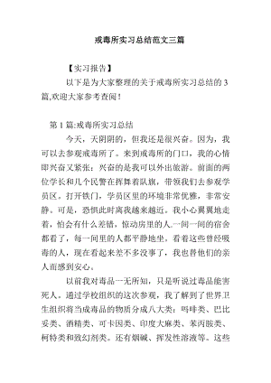 戒毒所实习总结范文三篇