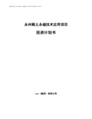 永州稀土永磁技术应用项目投资计划书【模板参考】