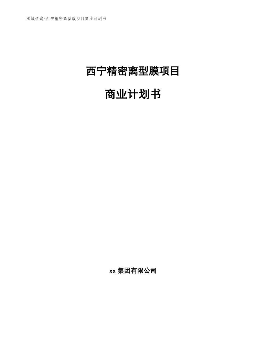 西宁精密离型膜项目商业计划书_第1页