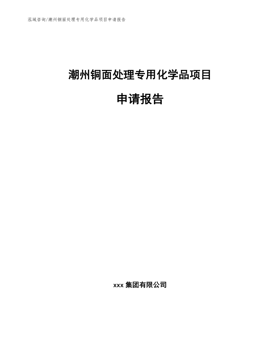 潮州铜面处理专用化学品项目申请报告_第1页