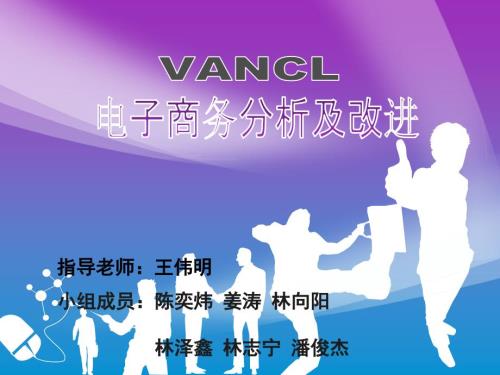 凡客誠品電子商務(wù)分析及改進(jìn)建議(精品)