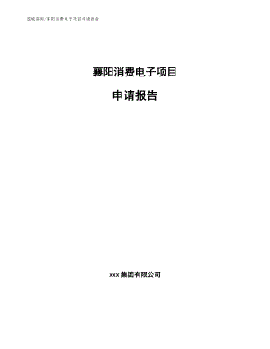 襄阳消费电子项目申请报告【模板】