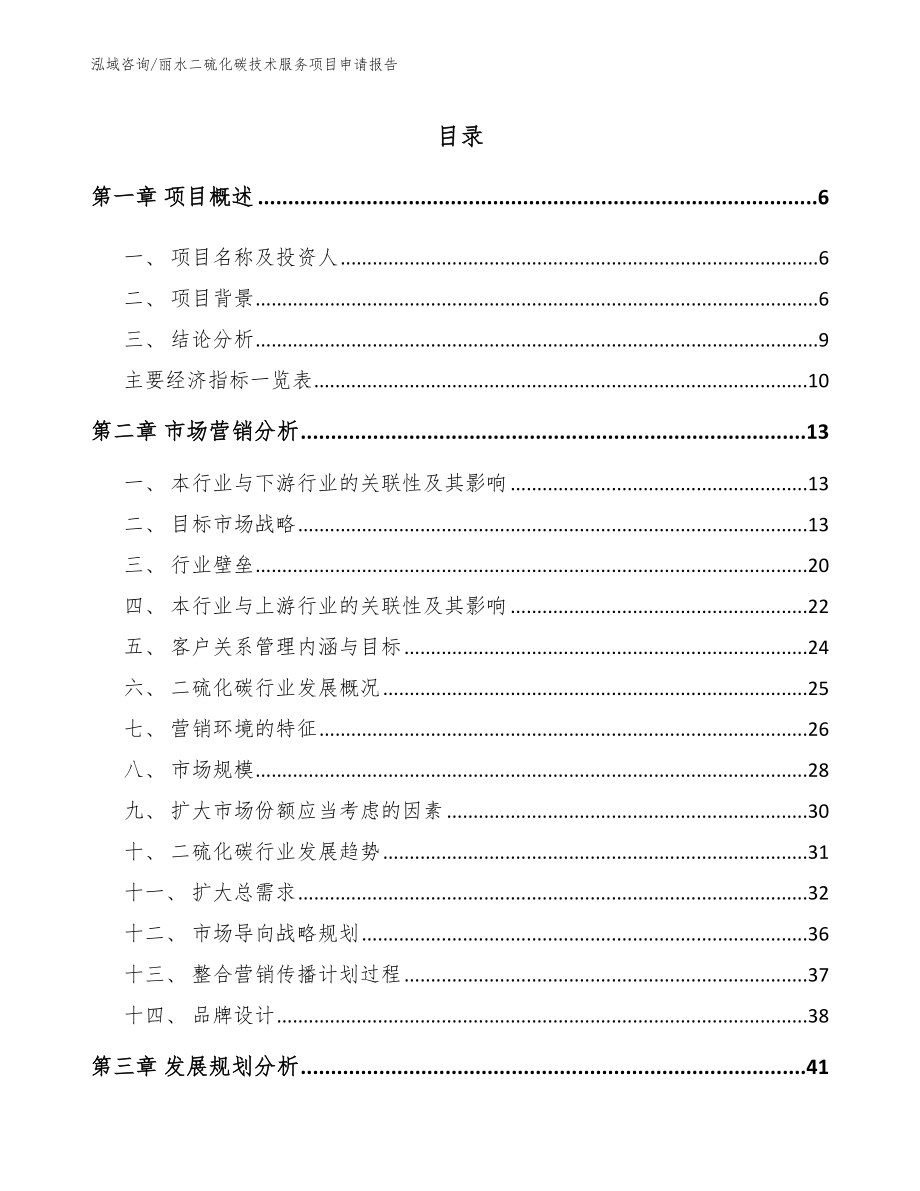 丽水二硫化碳技术服务项目申请报告_第1页