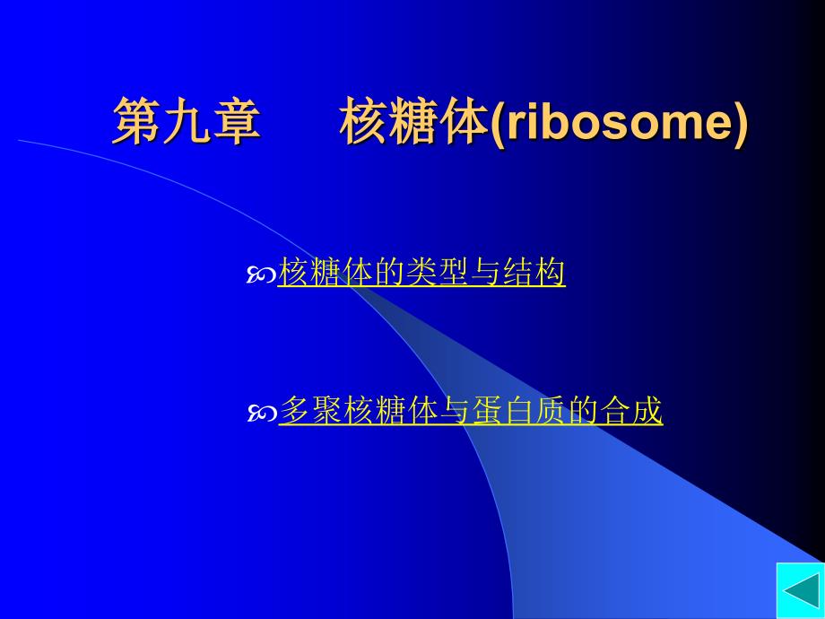 核糖体(ribosome)_第1页