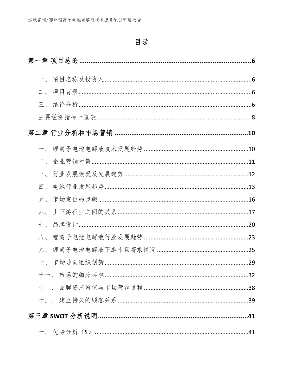 鄂州锂离子电池电解液技术服务项目申请报告（模板参考）_第1页