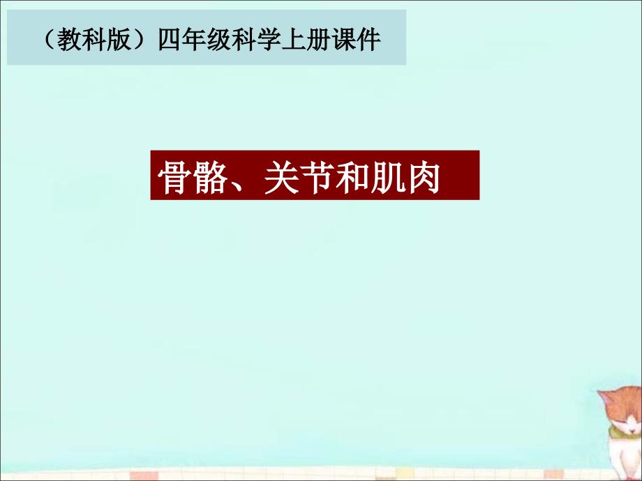 教育专题：《骨骼、关节和肌肉》教学课件2_第1页