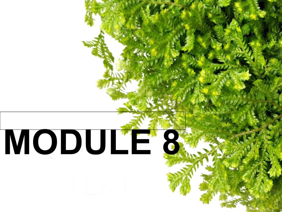 教育专题：MODULE8_第1页