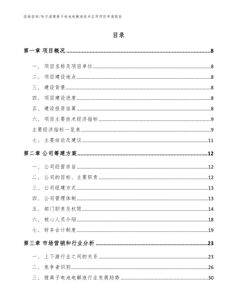 哈尔滨锂离子电池电解液技术应用项目申请报告_第1页