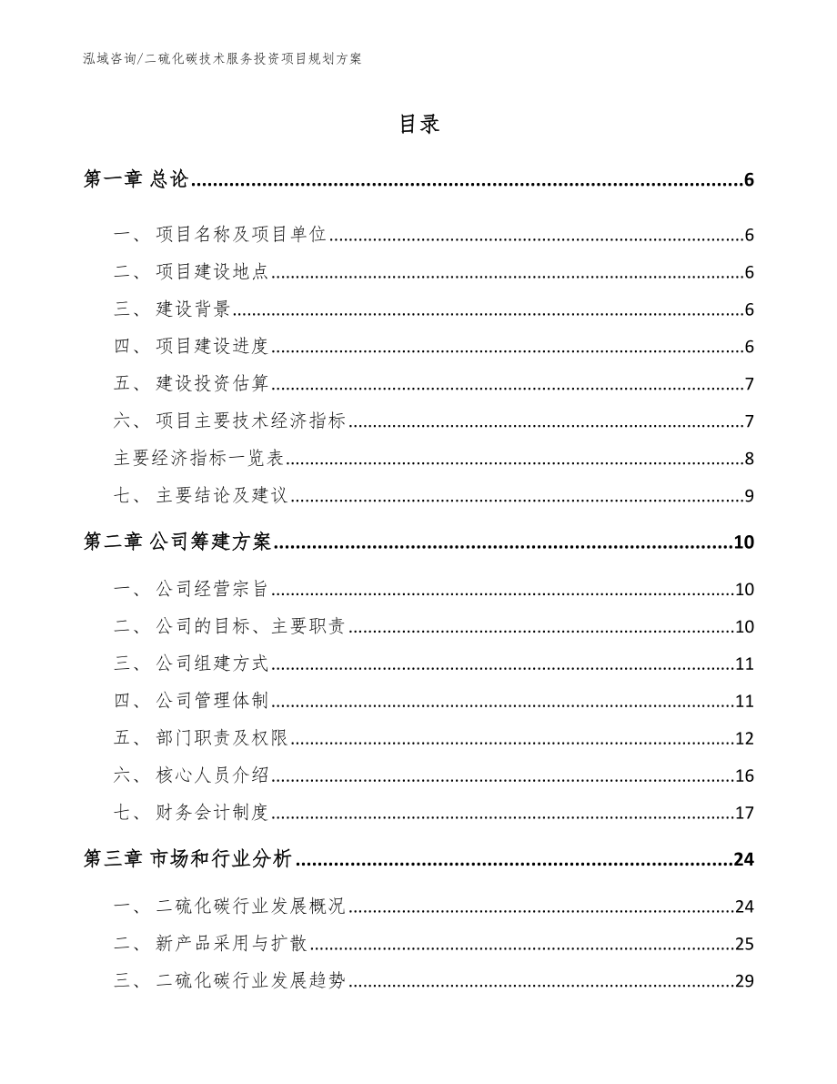 二硫化碳技术服务投资项目经营分析报告【模板范文】_第1页