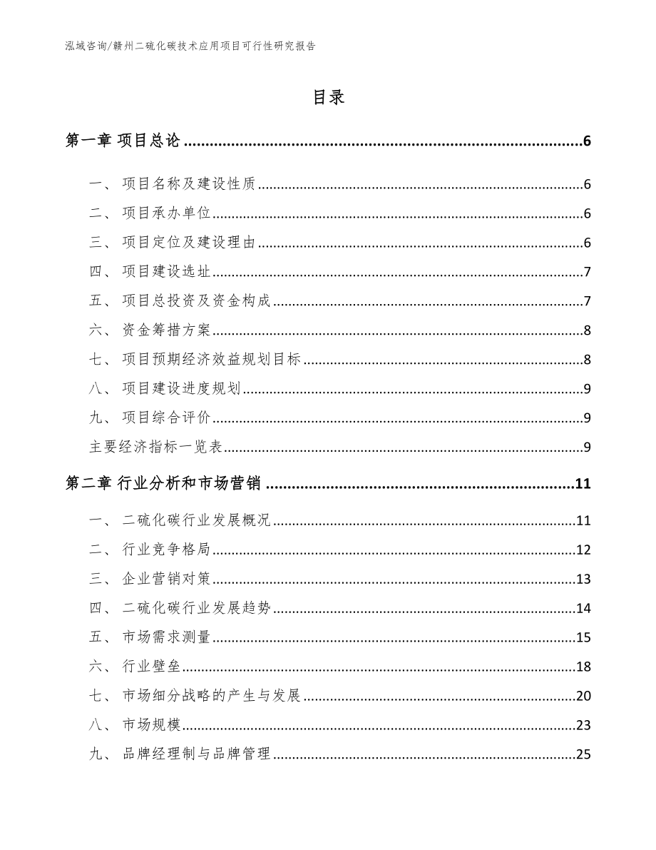 赣州二硫化碳技术应用项目可行性研究报告（模板）_第1页