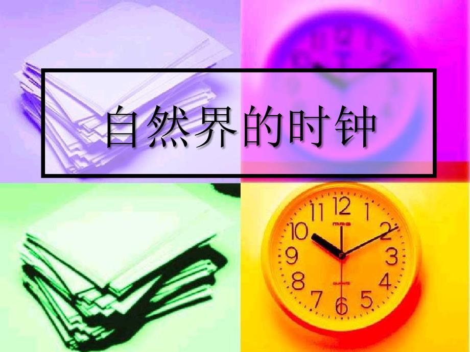 教育专题：自然界的时钟_第1页