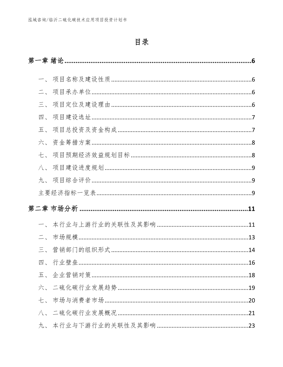 临沂二硫化碳技术应用项目投资计划书范文_第1页