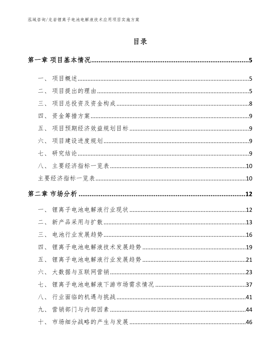 龙岩锂离子电池电解液技术应用项目实施方案范文_第1页