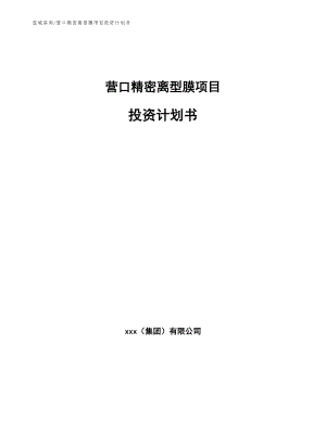 营口精密离型膜项目投资计划书