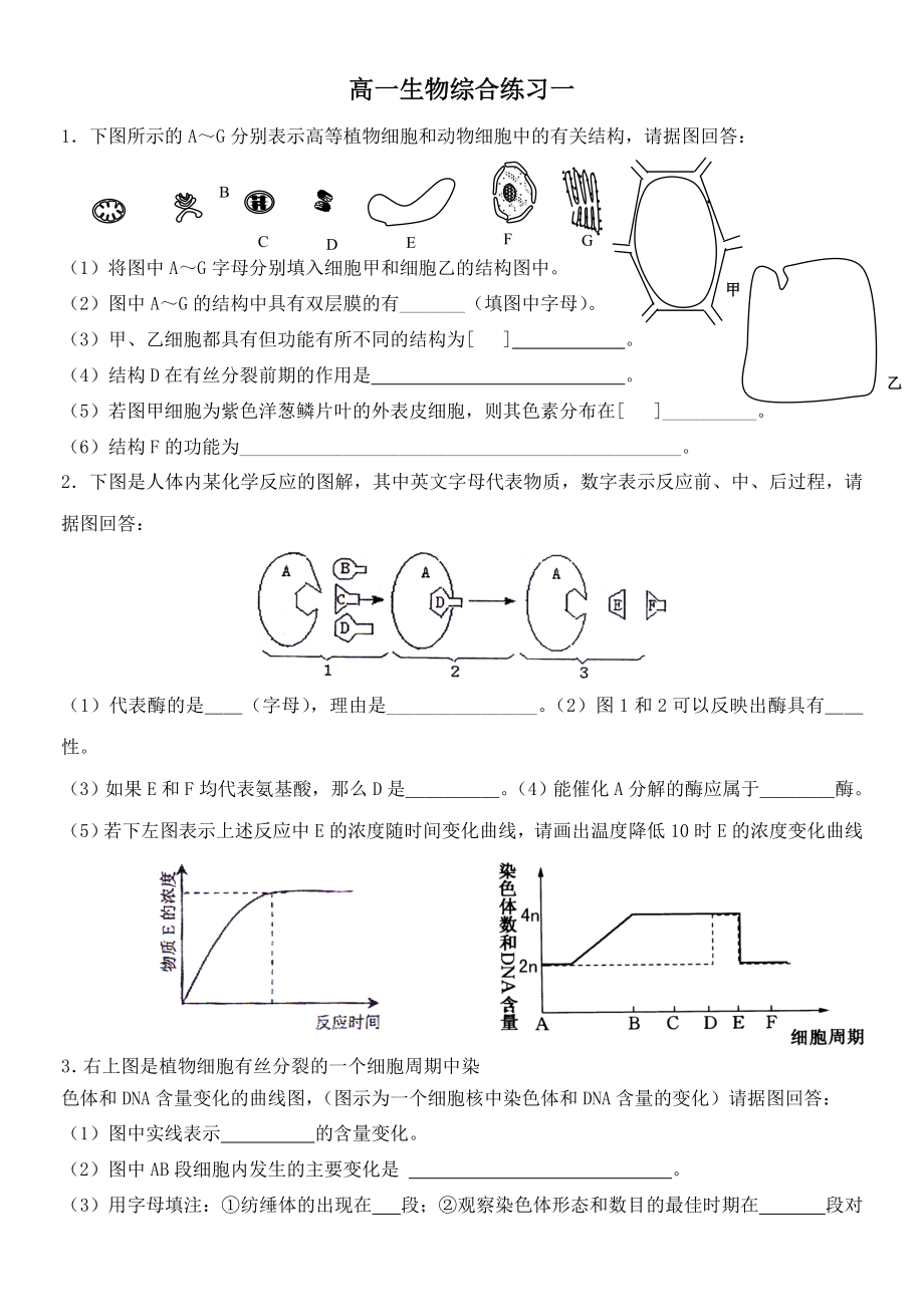 教育专题：高一生物综合练习一_第1页