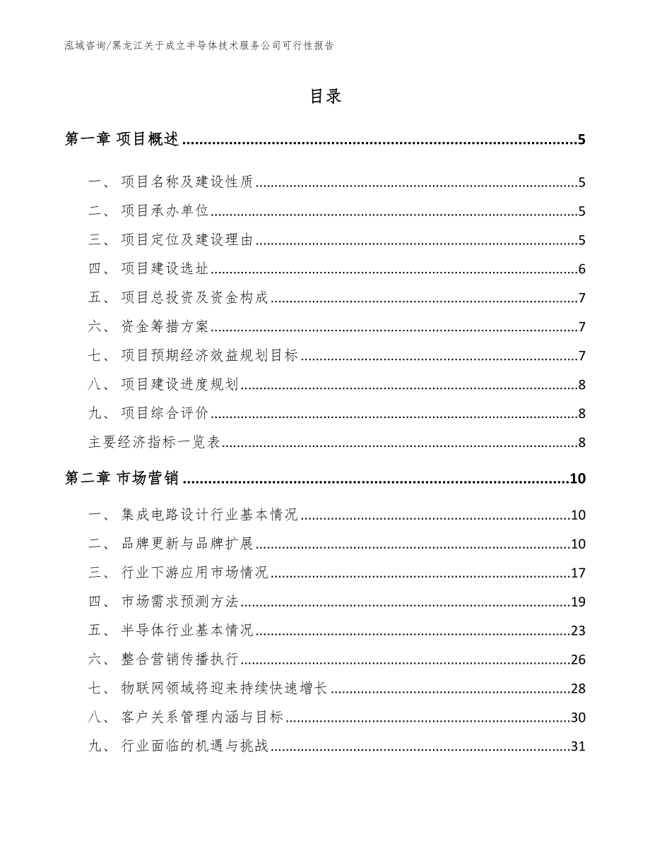 黑龙江关于成立半导体技术服务公司可行性报告（模板参考）_第1页