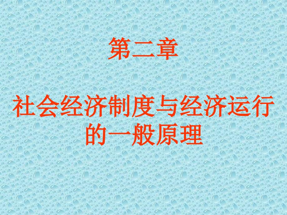 社会经济制度与经济运行的一般原理_第1页