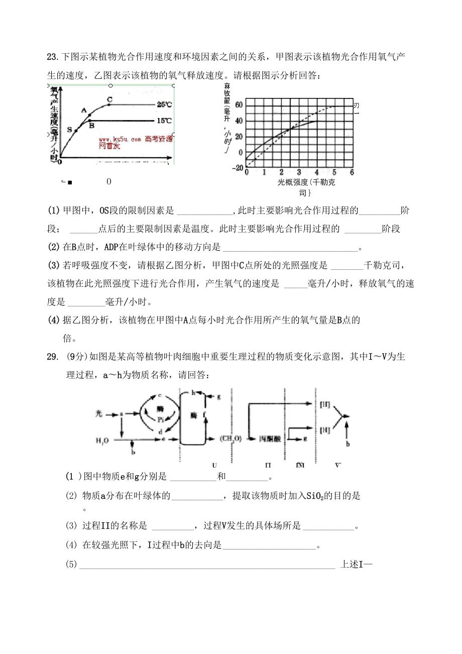 光合作用专题_第1页