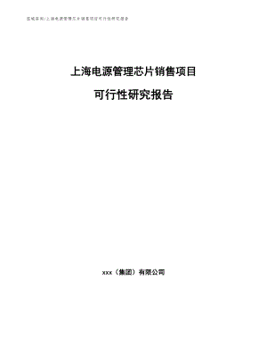 上海电源管理芯片销售项目可行性研究报告（模板）