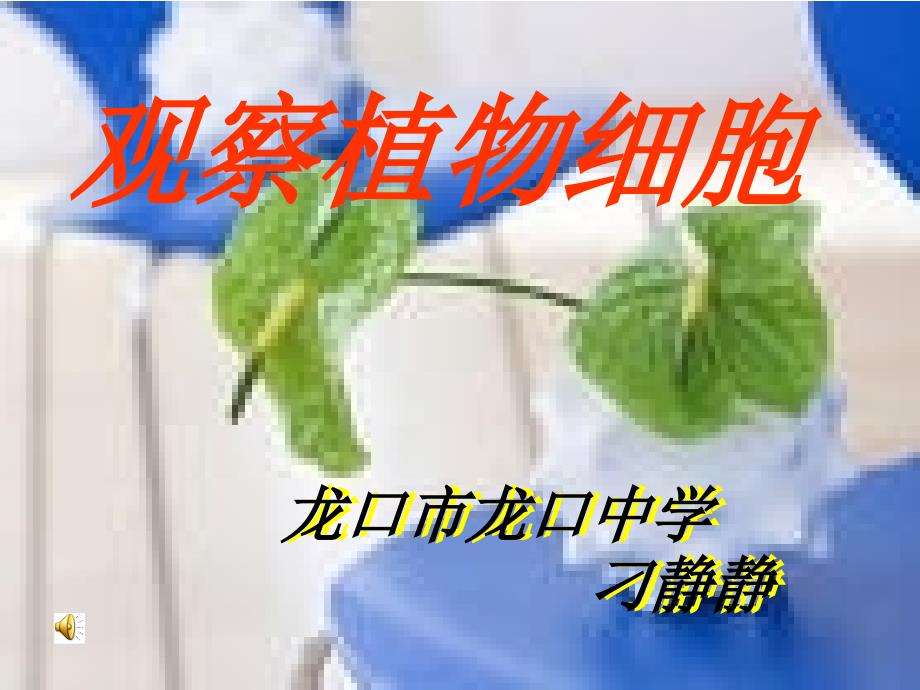 观察植物细胞(1)_第1页