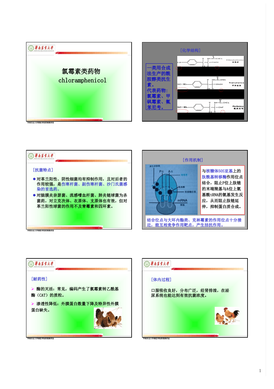 第十二章 抗微生物药物3 兽医药理学教学课件_第1页