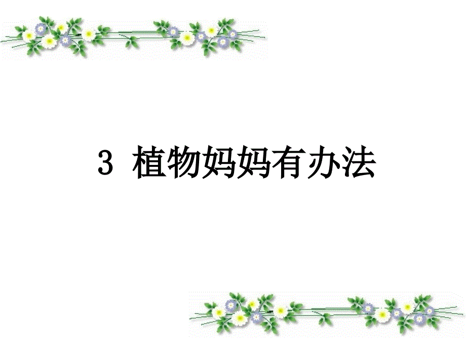 教育精品：3植物妈妈有办法 (3)_第1页