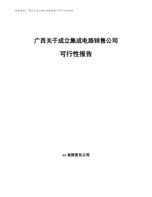 广西关于成立集成电路销售公司可行性报告（模板参考）