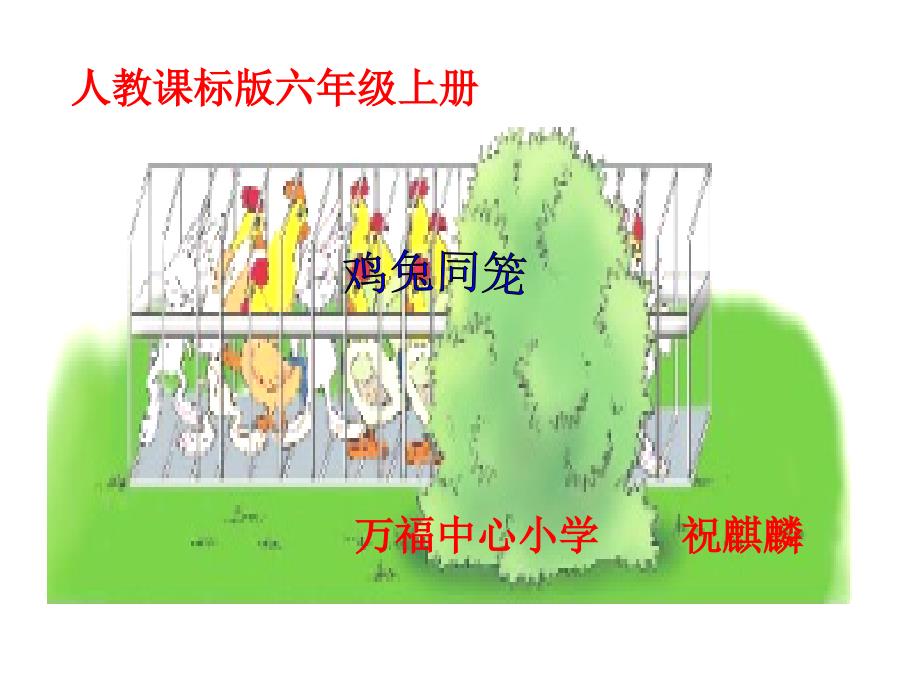 教育专题：鸡兔同笼 (5)_第1页