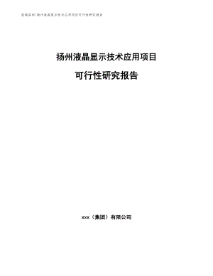 扬州液晶显示技术应用项目可行性研究报告【范文模板】