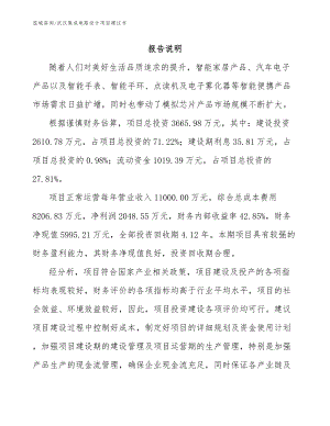 武汉集成电路设计项目建议书