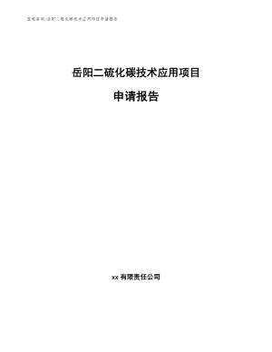 岳阳二硫化碳技术应用项目申请报告（参考范文）