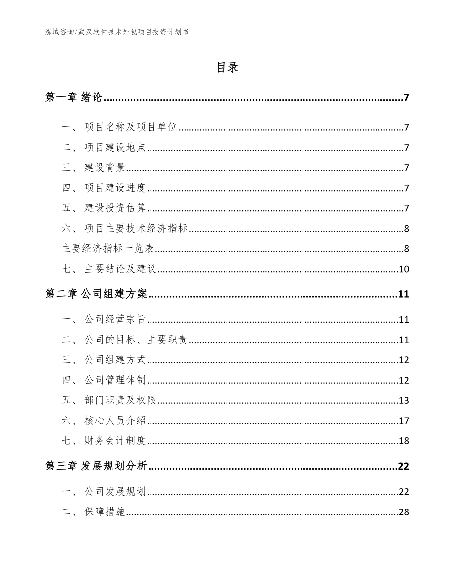 武汉软件技术外包项目投资计划书【参考模板】_第1页