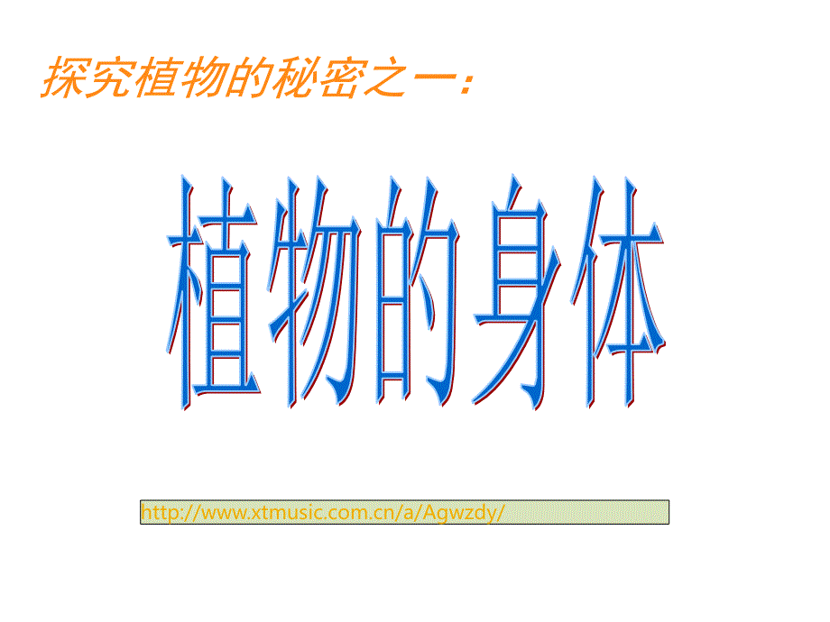 小学科学四年级上青岛版3.1植物的身体讲课课件_第1页