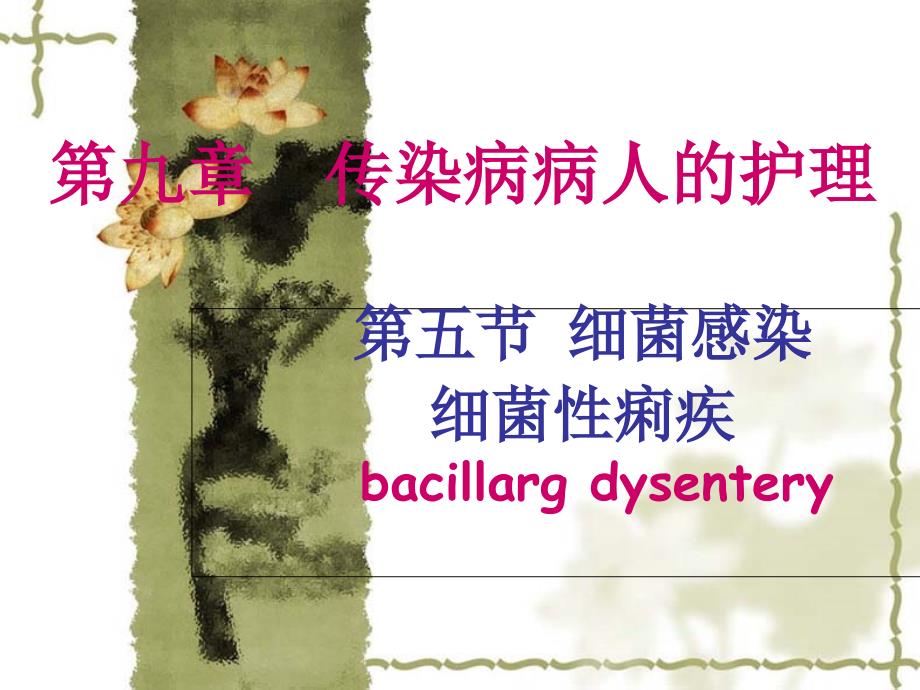 五部分细菌感染细菌痢疾bacillargdysentery教学课件_第1页