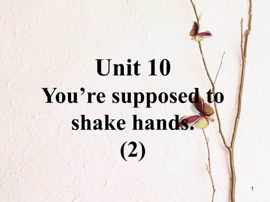 九年级英语全册 口译精练 Unit 10 You’re supposed to shake hands(2)课件 （新版）人教新目标版_第1页