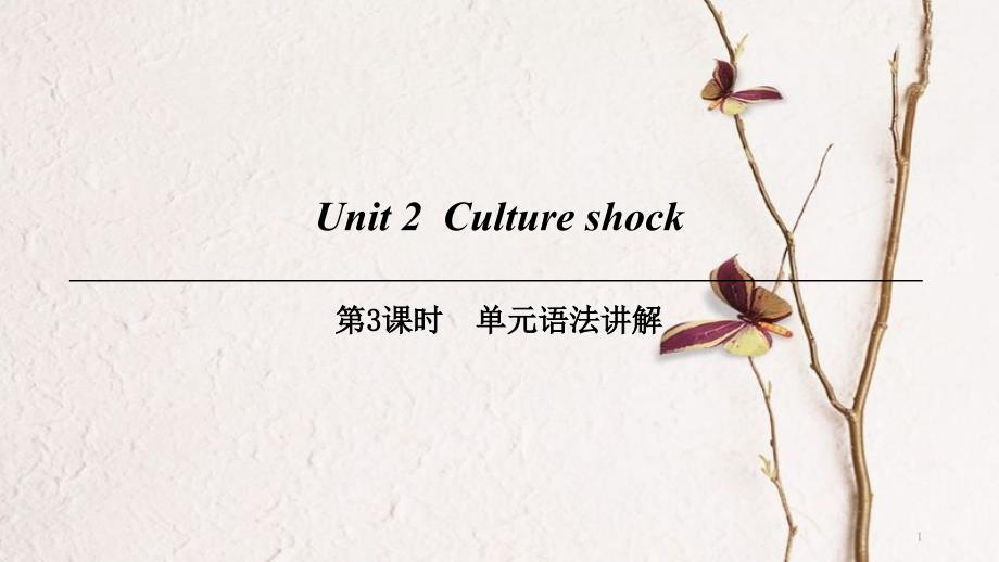 九年级英语下册 Module 1 Explorations and exchanges Unit 2 Culture shock（第3课时）单元语法讲解课件 牛津深圳版_第1页