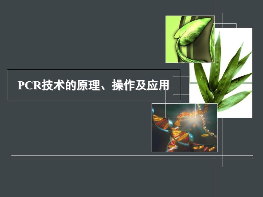 PCR技术的原理、操作及应用_第1页