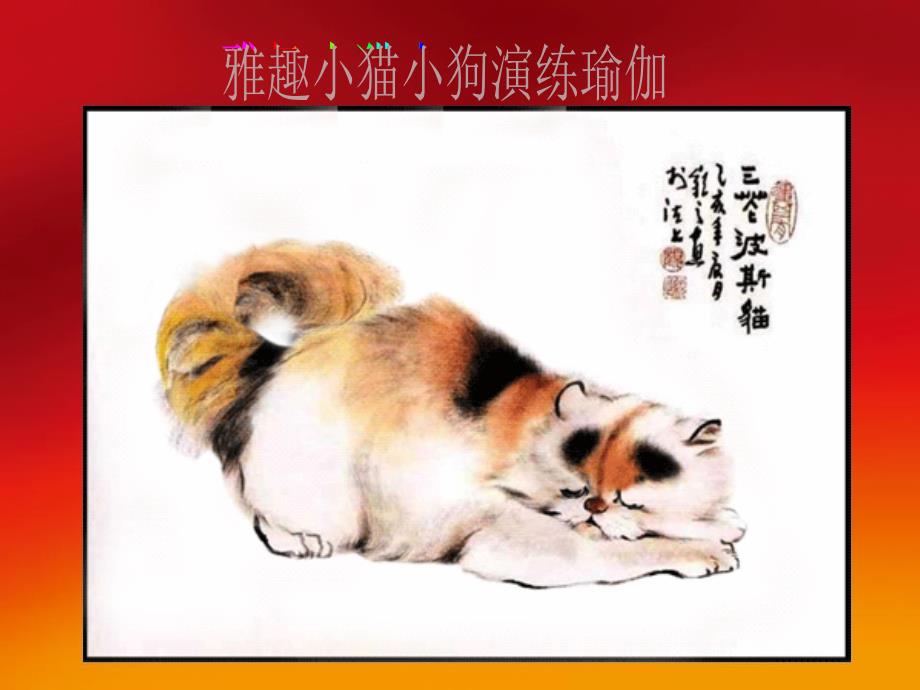 [可爱清新]_雅趣小猫小狗演练瑜伽(精品)_第1页