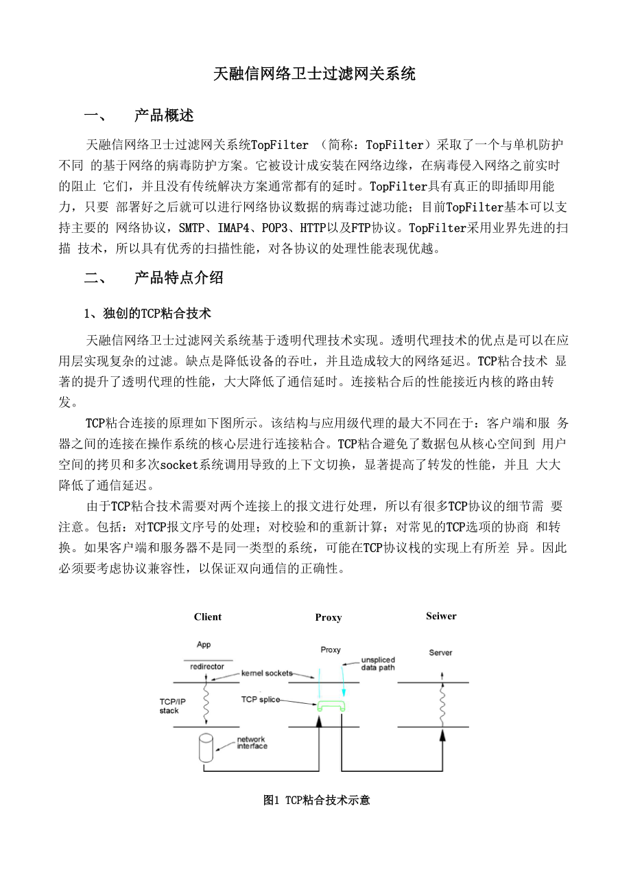 天融信网络卫士过滤网关系统TopFilter系列_第1页