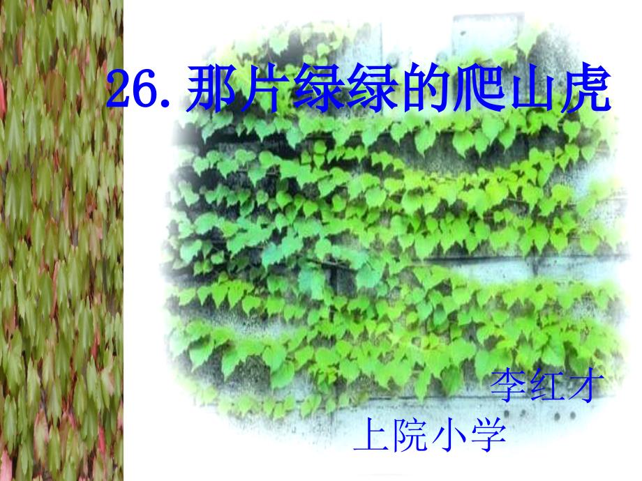 教育专题：四年级语文上册第七组26那片绿绿的爬山虎第二课时课件_第1页