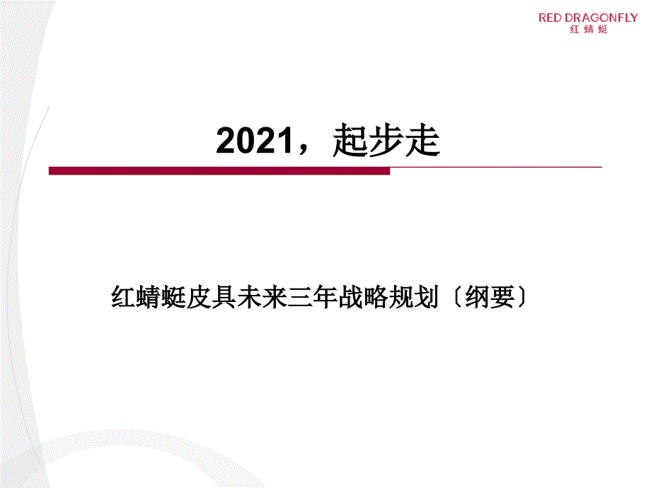 红蜻蜓皮具三年规划(纲要版)_第1页