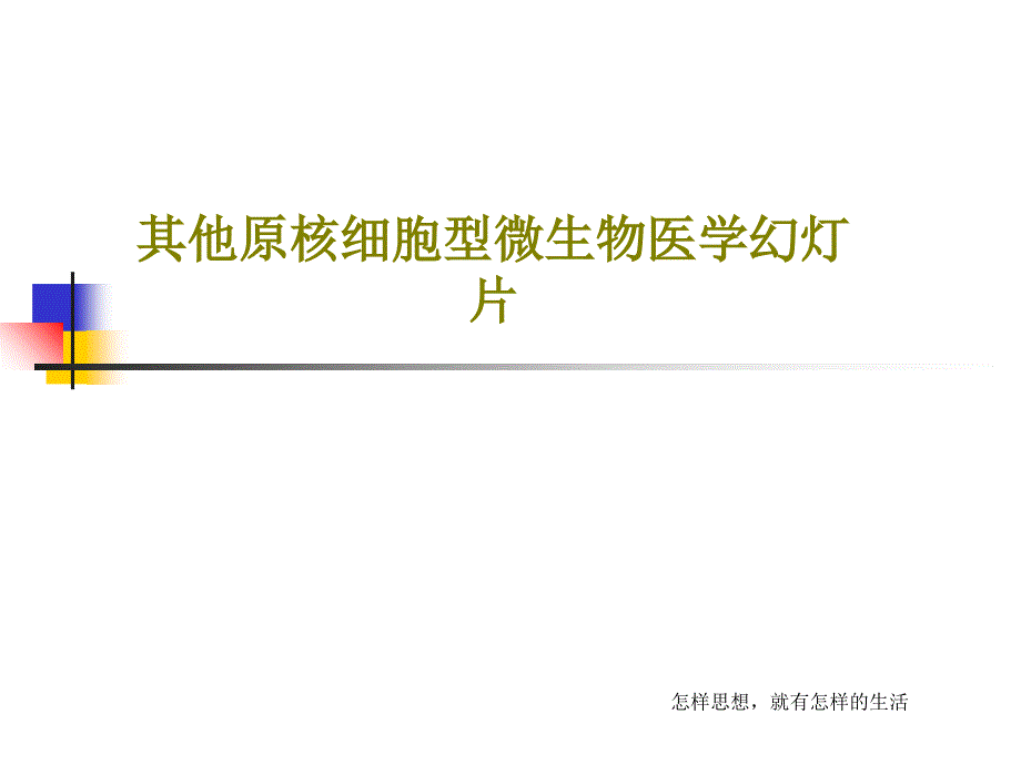 其他原核细胞型微生物医学课件共80张课件_第1页