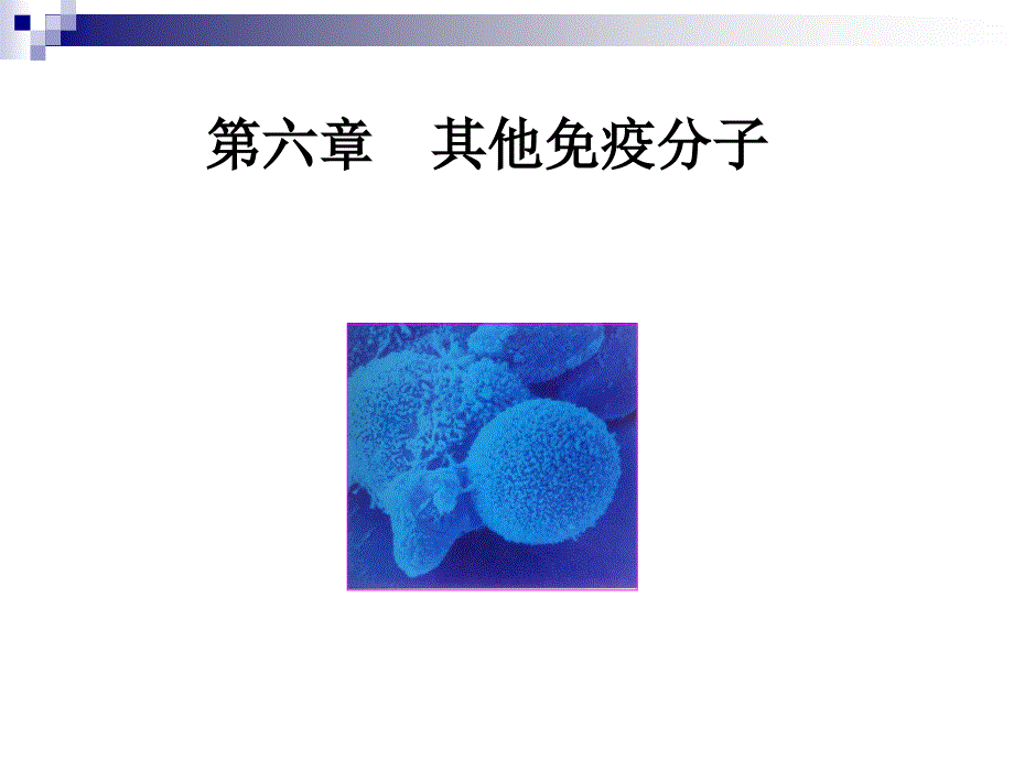 第6章 其他免疫分子(精品)_第1页