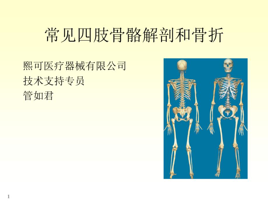 四肢骨骼解剖和骨折课件_第1页