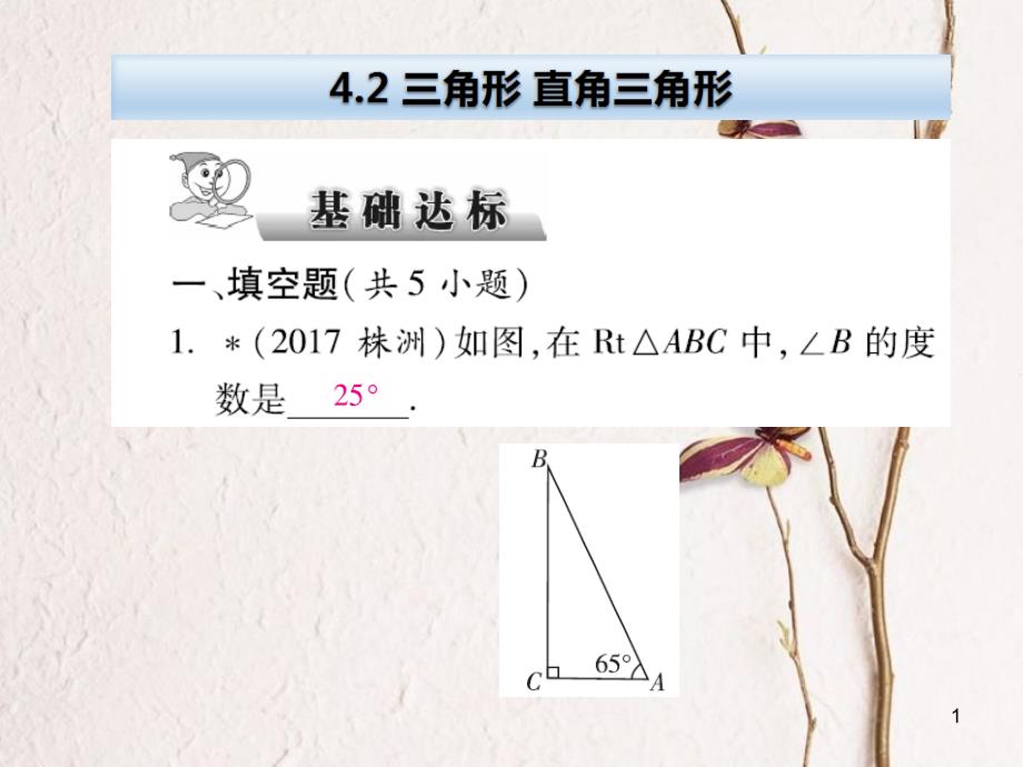 云南省中考数学总复习 第四章 三角形 4.2 三角形 直角三角形课件_第1页