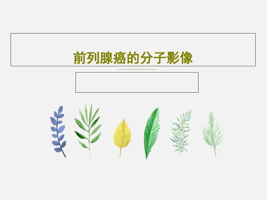 前列腺癌的分子影像共47张课件_第1页