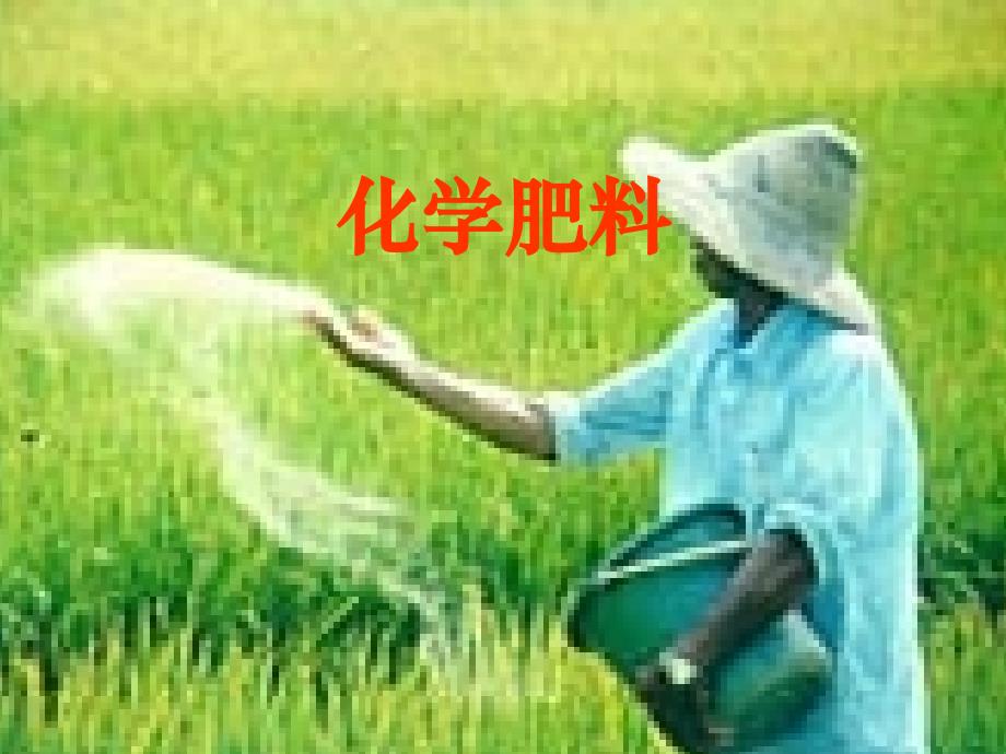 化学肥料(上课用)课件_第1页